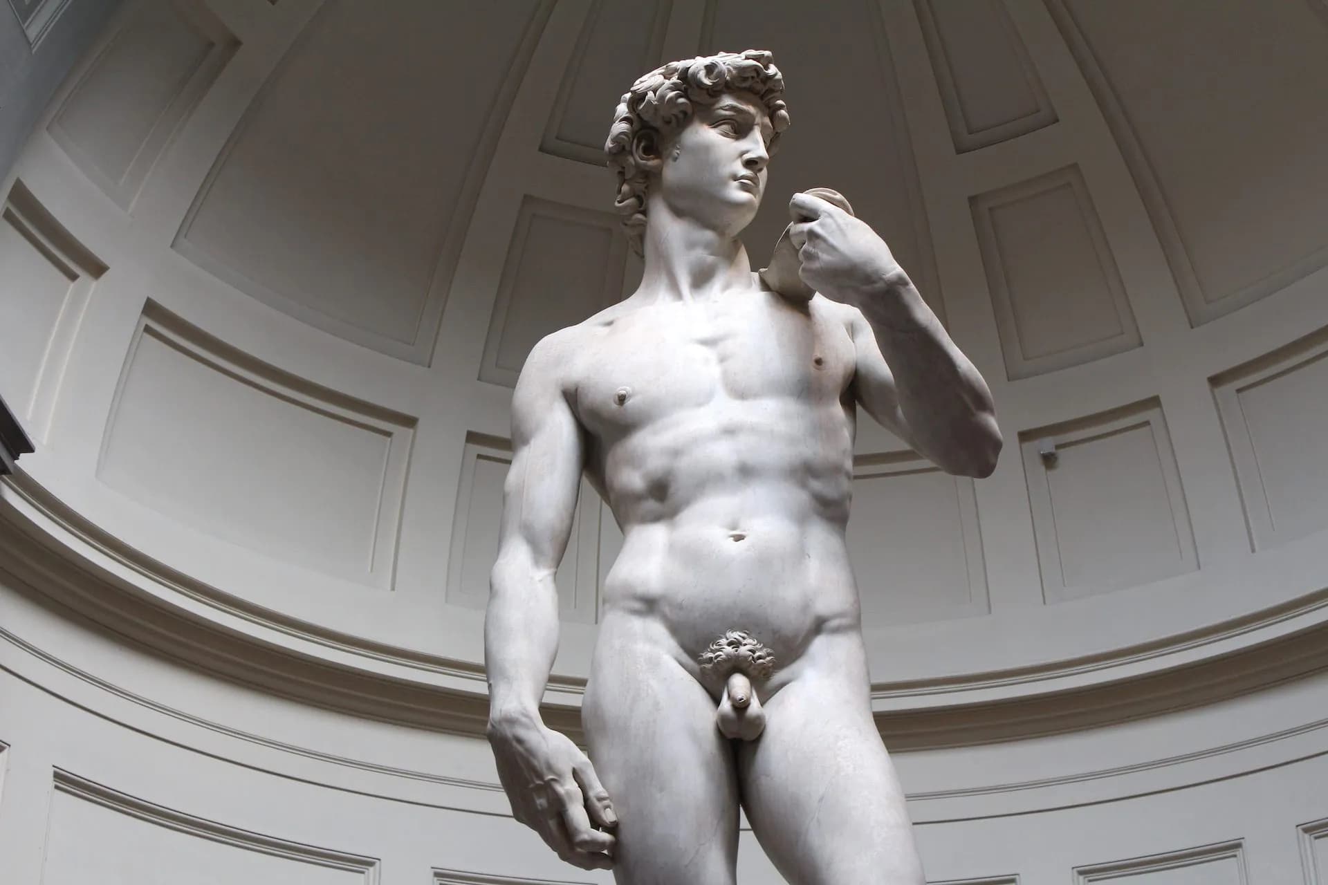 Michelangelo's David marble statue displayed indoors under a domed ceiling