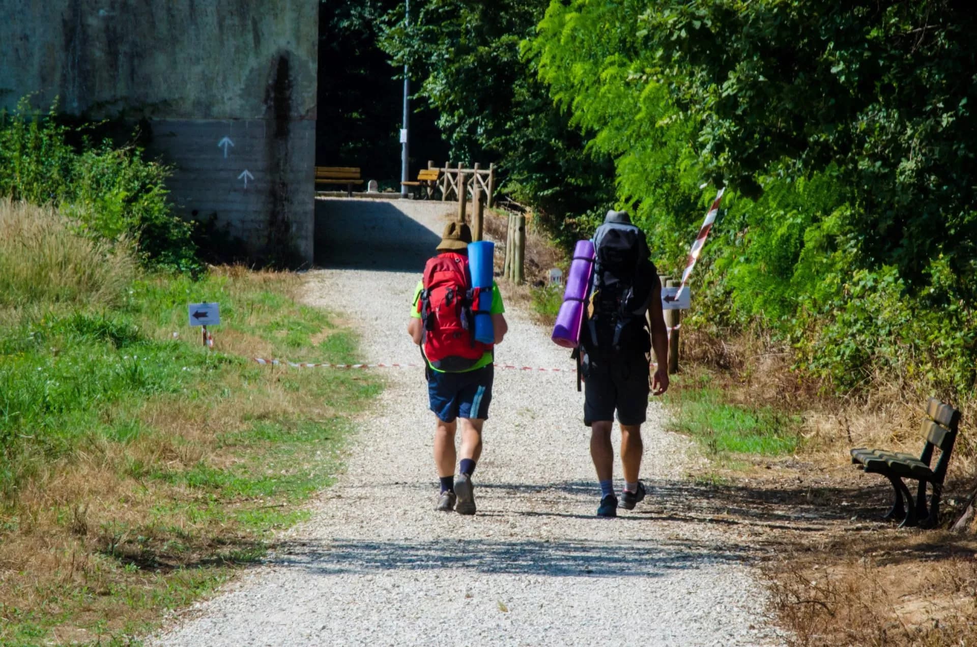 Hikers with large backpacks walk on a gravel path near dense green foliage, following Via Francigena signs.