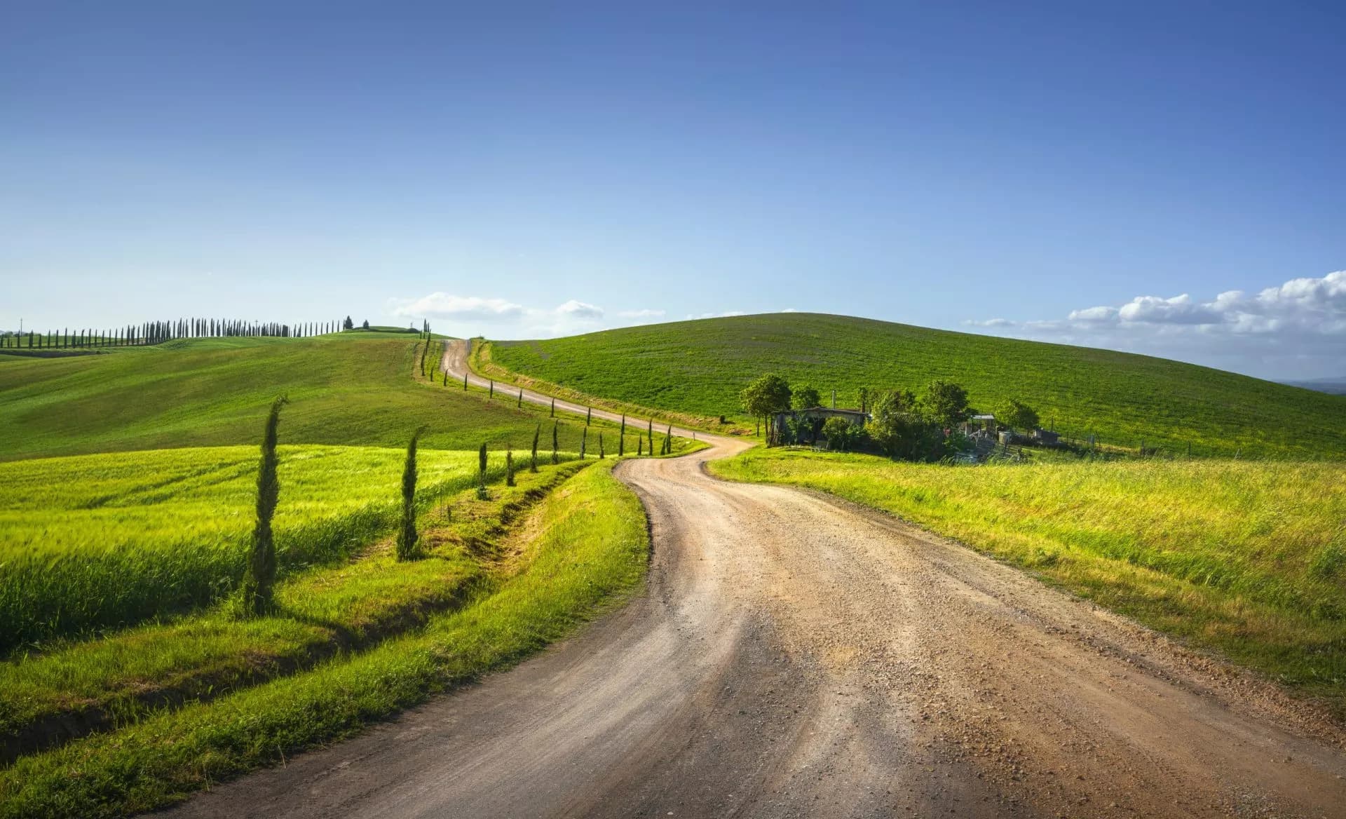 Winding dirt road through rolling green hills lined with cypress trees under a blue sky.