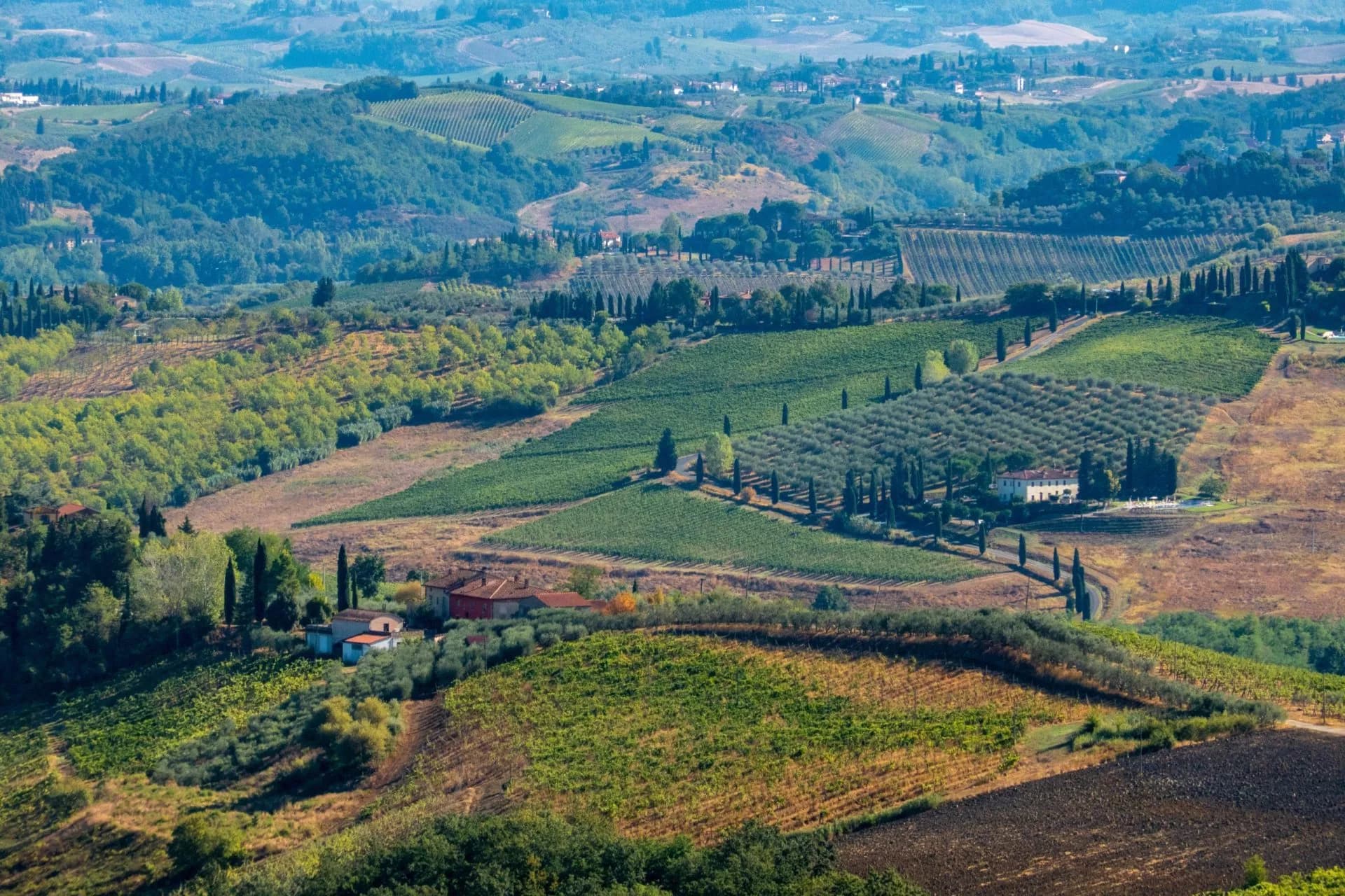 Aerial view of rolling hills with vineyards, olive groves, cypress trees, and farmhouses along the Via Francigena.