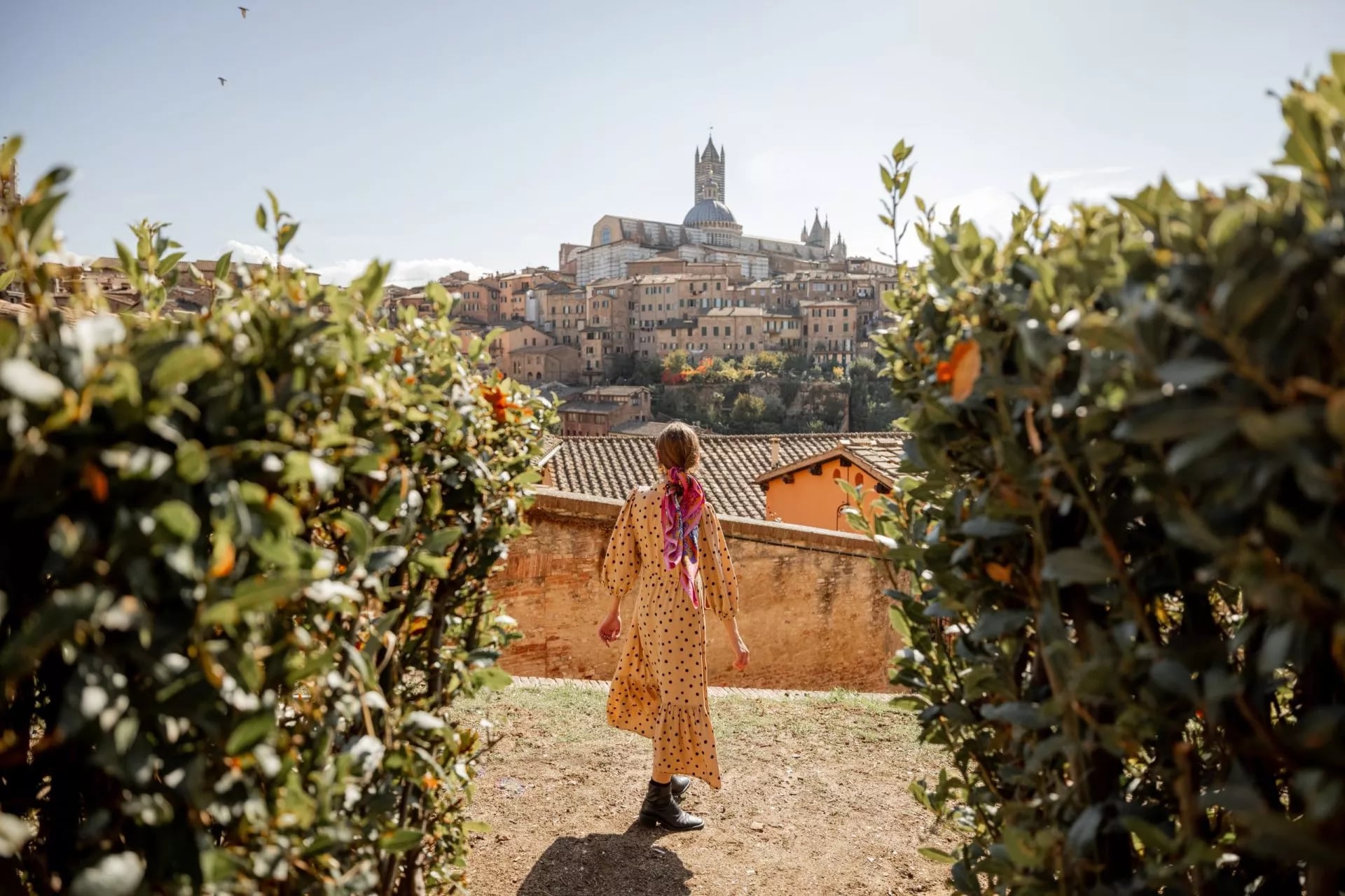 Woman views Tuscan town with cathedral dome, framed by green bushes