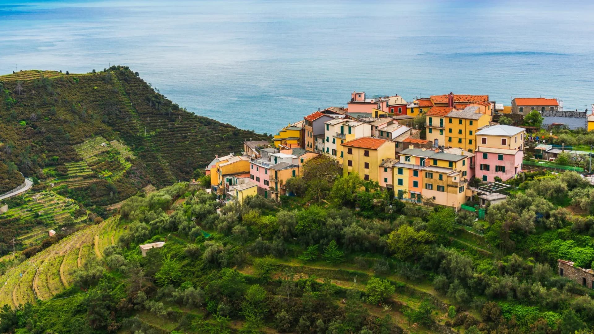 The picturesque old village of Volastra built on the green terraced hill of the Ligurian Coast, in Cinque Terre National Park, Italy.