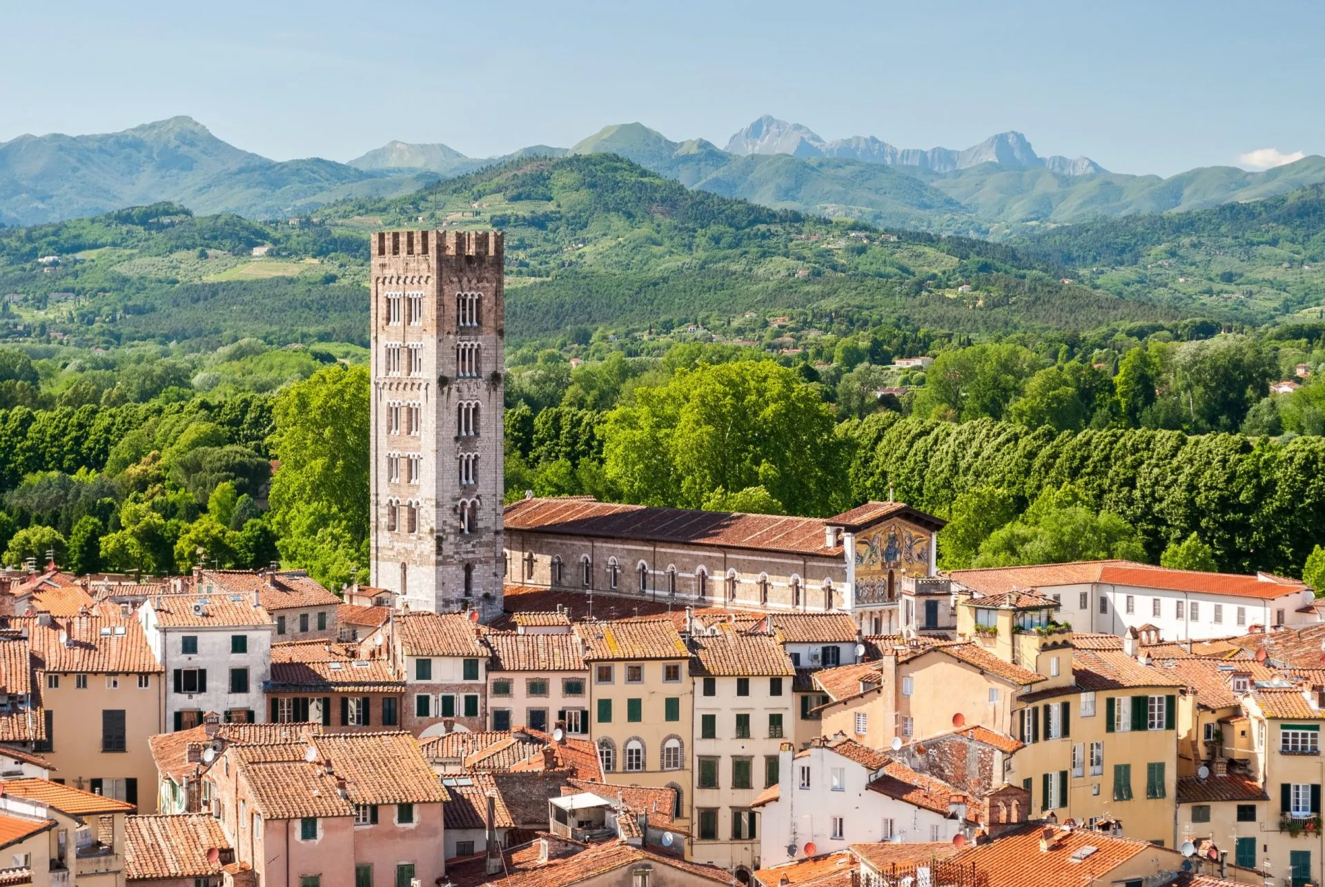 Aerial view of Lucca, in Tuscany, during a sunny afternoon; the bell tower belongs to the San Frediano church