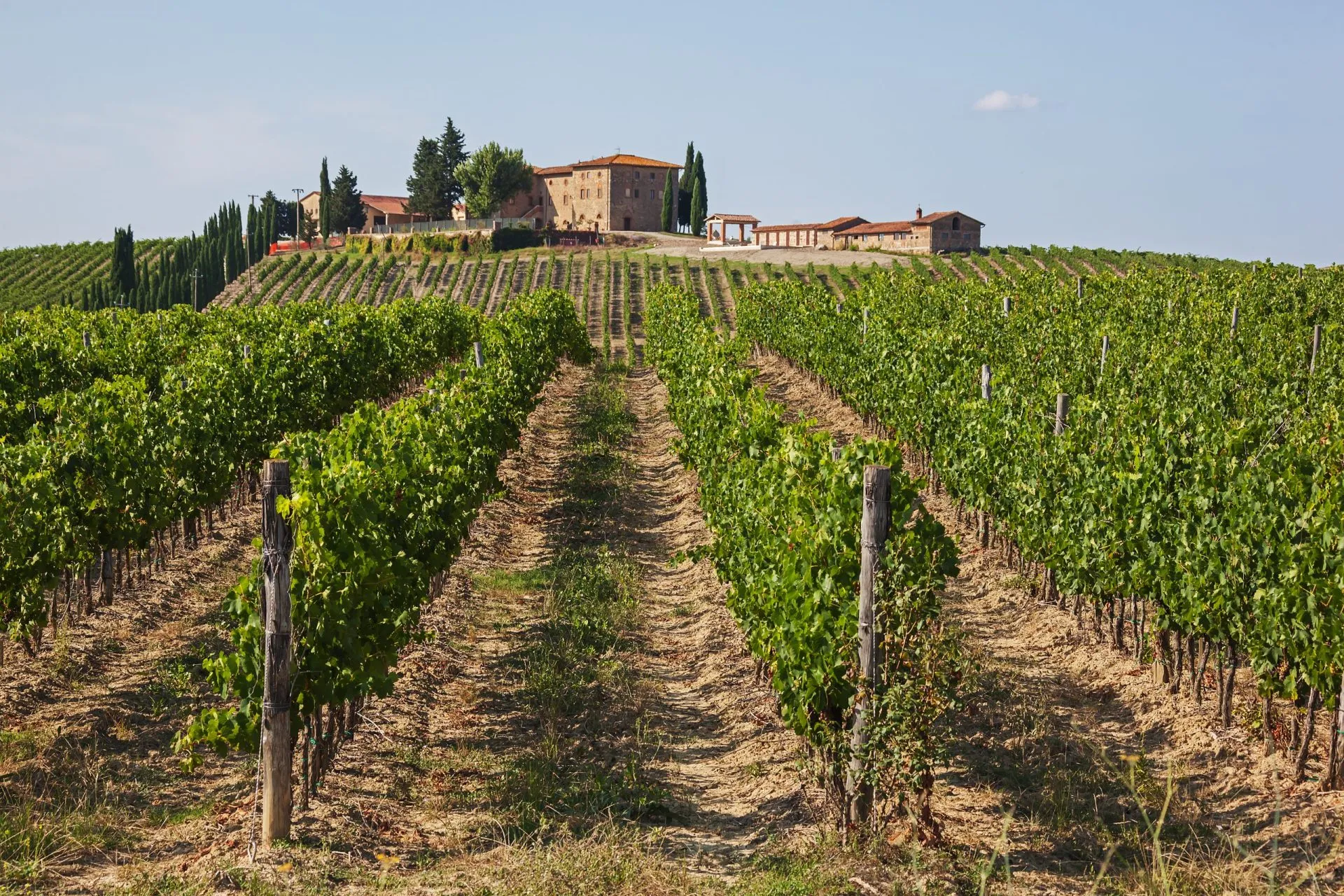 Traditional  Tuscany wine farm is surrounded by vineyards in the Chianti region, Italy