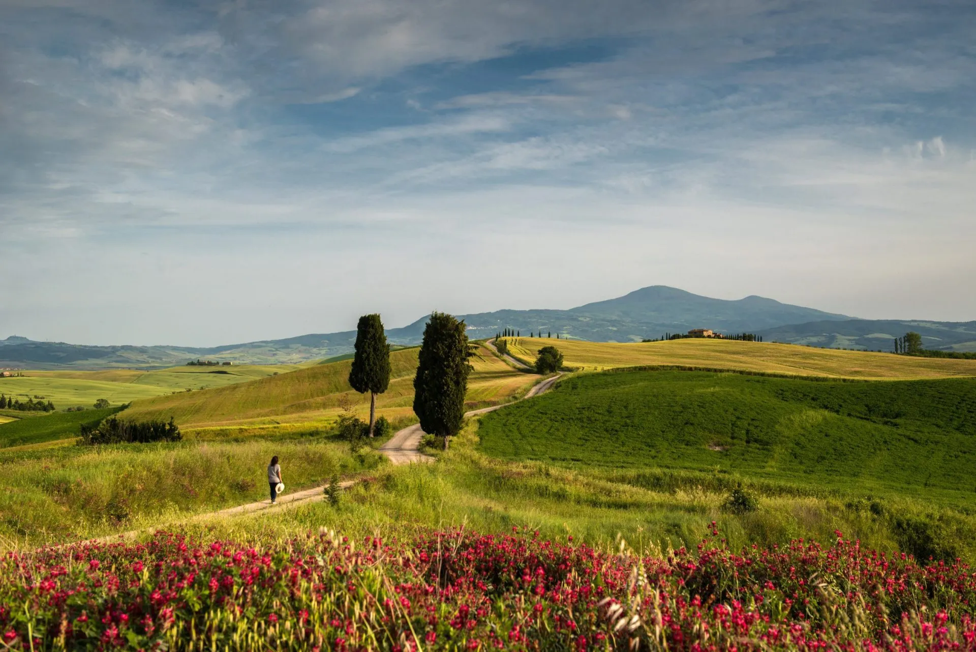 Tuscany Walking Holidays - Walking tours under the Tuscan sun