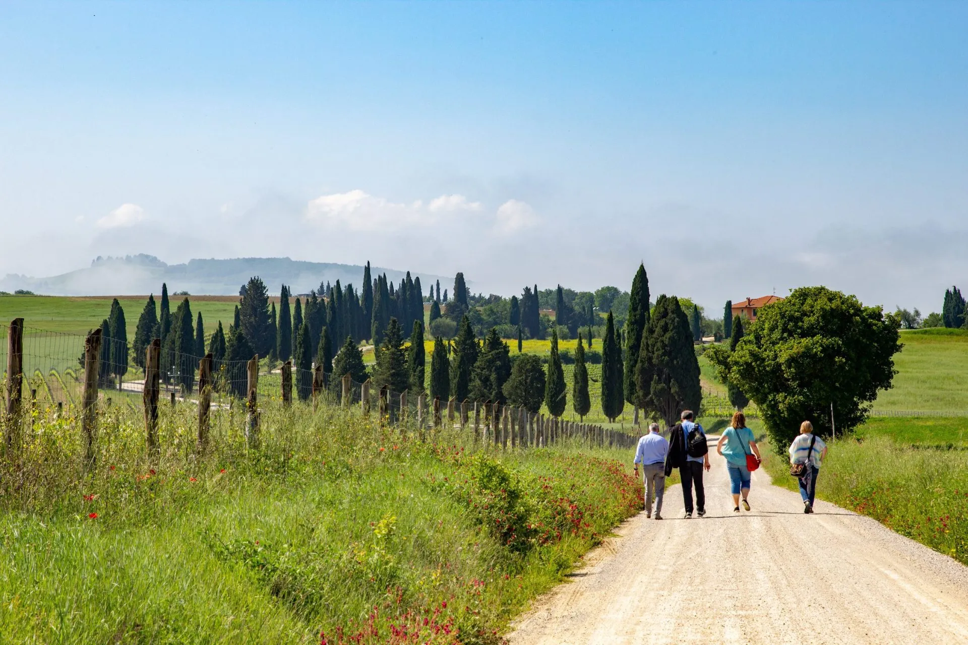 Tuscany Walking Holidays - Walking tours under the Tuscan sun